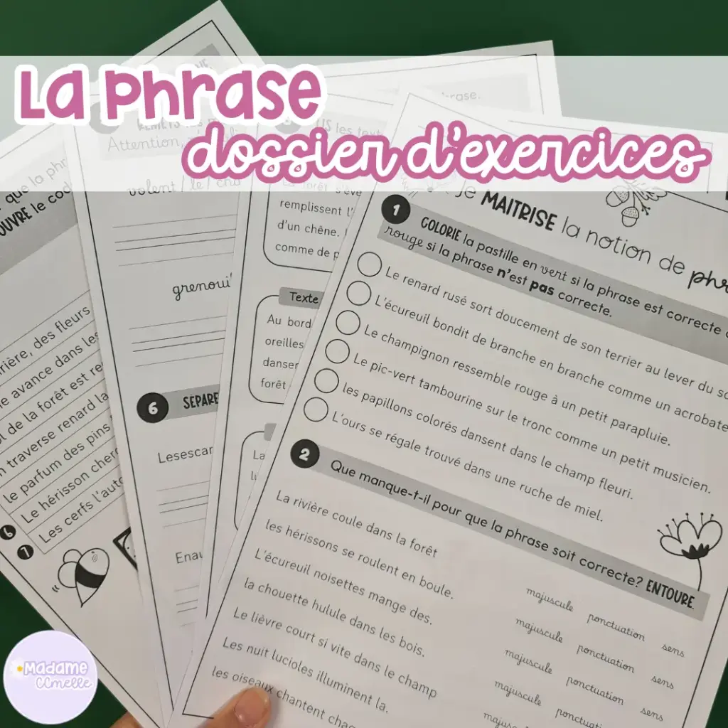 La phrase : dossier d'exercices